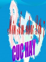 thao giang k7-cuchay