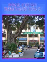 TOÁN- PHÂN SỐ BẰNG NHAU