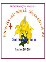 tac dung cua dong dien- DINH GIA vt