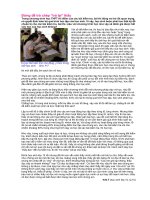 Trao đổi kinh nghiệm dạy học.