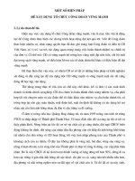 SKKN Bien phap xd Cd vung manh