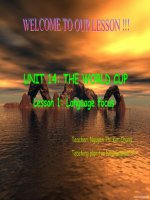 UNIT 14-LANGUAGE FOCUS-10