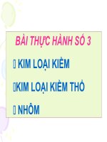 BÀI THỰC HÀNH SỐ 3: KIM LOẠI IA, IIA, NHÔM