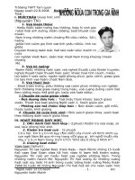 Những đứa con trong gia đình (tiêt 67-68)