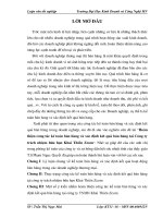 Hoàn thiện công tác kế toán bán hàng và xác định kết quả bán hàng tại Công ty trách nhiệm hữu hạn Khai Thiên Zcom