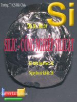 SILIC -CONG NGHIEP SILICAT