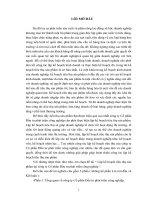 Một số giải pháp hoàn thiện công tác lập kế hoạch tiêu thụ tại công ty Cổ phần Đầu tư phát triển công nghiệp.