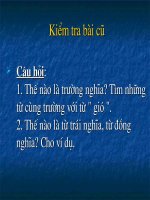 Tiết 39: Lựa chọn từ ngữ