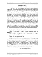 Tình hình thực tế công tác kế toán tại công ty cổ phần khoáng sản và cơ khí Mimeco