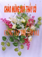 tuần 9 tiết 38: ôn tập truyện kí việt nam