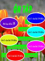 Ôn tập kiểm tra 1 tiết HK II