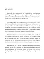 Quan  hệ phân phối thu nhập trong nền kinh tế thị trường định hướng xã hội chủ nghĩa ở Việt Nam