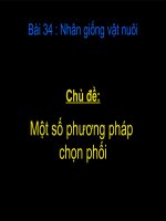 bai kiem tra 45phut 6 hay