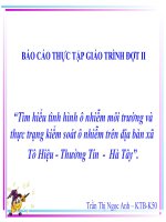 ô nhiễm môi trường