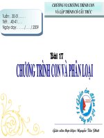 Tiet 40-41 Chuong trinh con.ppt