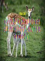 Bài 38: Các nhân tố sự sinh trưởng và phát triển của động vật