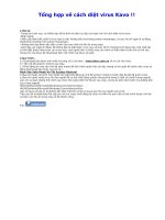 Tổng hợp về cách diệt virus Kavo !!