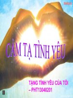 Cảm tạ tình yêu