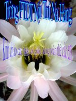 Tiet 68 on tap hoc ki II