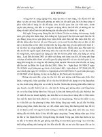 Xác định giá trị bất động sản khi bồi thường giải phóng mặt bằng,thực trạng đền bù giải phóng trên địa bàn quận Hai Bà Trưng Hà Nội 