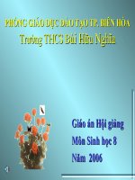 Bài 29 : Hấp thụ chất dinh dưỡng và thải phân
