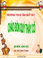 BAI 41-CHIM BO CAU