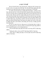 Thực trạng và những giải pháp cơ bản để phát triển KTTT định hướng XHCN ở Việt Nam