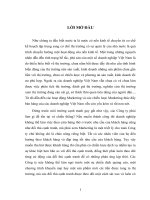 Ứng dụng Marketing vào hoạt động bán hàng của công ty TNHH Lương thực Hà Việt