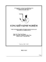 SKKN: MOT SO KN TRONG GIANG DAY DIA LY