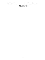 Hoạt động kiểm toán tại công ty Công ty TNHH kiểm toán PKF Việt Nam 