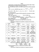 Tổng hợp về xít