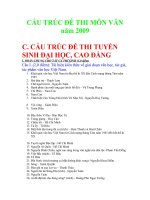 3.CẤU TRÚC ĐỀ THI MÔN VĂN năm 2009 -TUYỂN SINH ĐẠI HỌC, CAO ĐẲNG.doc