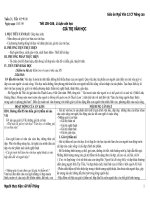 Tuần 28, tiết 105-106, Giá trị văn học