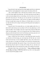 Nâng cao hiệu quả sử dụng vốn lưu động của Công ty TNHH Tiên Lâm