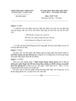 Đề thi HSG Ngữ văn 9 (Tỉnh Thừa Thiên  - Huế)