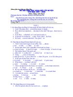 Đề thi chọn HS giỏi 8- Test 5