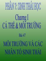Bài môi trường và các nhân tố sinh thái