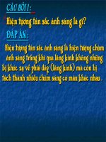 may quang pho chuan 1a