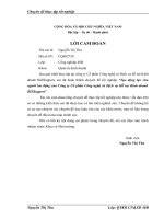 Tạo động lực cho người lao động của Công ty Cổ phần Công nghệ và Dịch vụ Hỗ trợ Kinh doanh BIZSupport