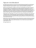 Ngải cứu và sức khỏe phụ nữ