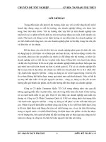 Hoàn thiện kế toán nguyên vật liệu tại Công ty Cổ phần Container Quốc tế CAS