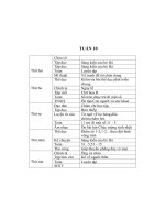 Giáo án lớp 2 Tuần 10