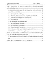 TỔ CHỨC CÔNG TÁC KIỂM TOÁN TẠI CÔNG TY DỊCH VỤ TƯ VẤN TÀI CHÍNH KẾ TOÁN VÀ KIỂM TOÁN