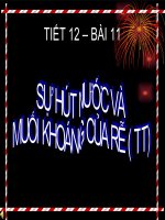 bài 11 Sự hút nước và MK (TT)