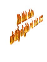 Bài soạn 15: Cacbon