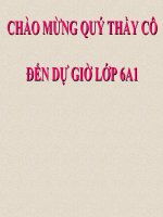 Bài 8: Sống chan hòa với mọi người