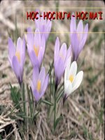 giáo án điện tử USB