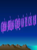 vo nhat tiêt2 -dangngan