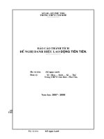 Báo cáo thành tích đề nghị tặng danh hiệu