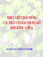 Bài giảng kỹ thuật nông nghiệp